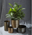 Lincoln Pot
