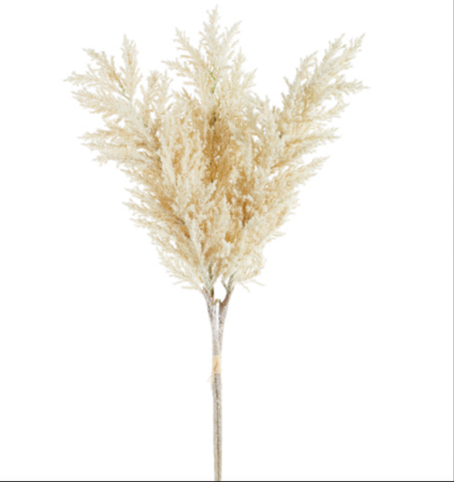 34" Iced Pampas Grass Christmas Decor